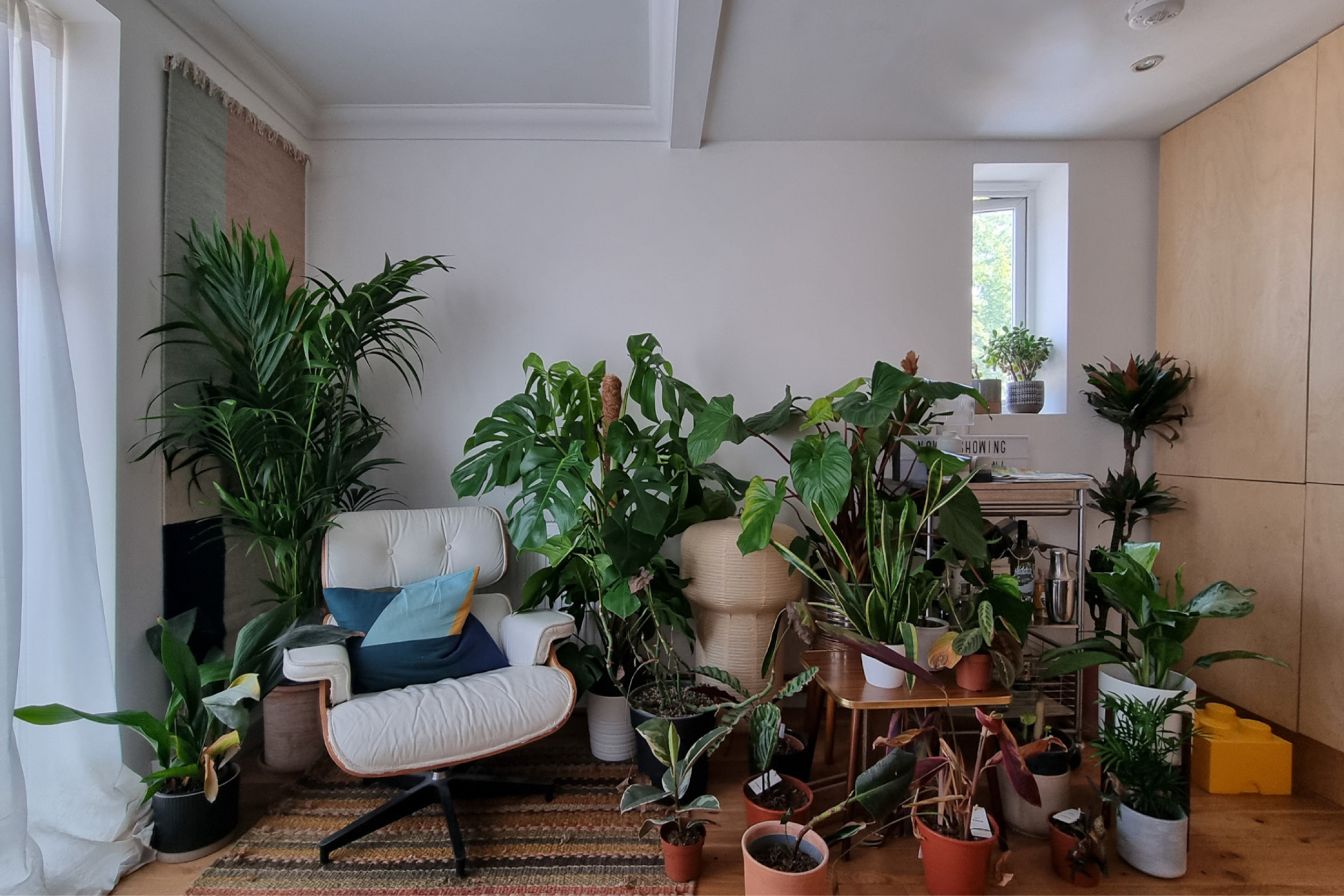 poacea menu driberg interiors © dan stilwell