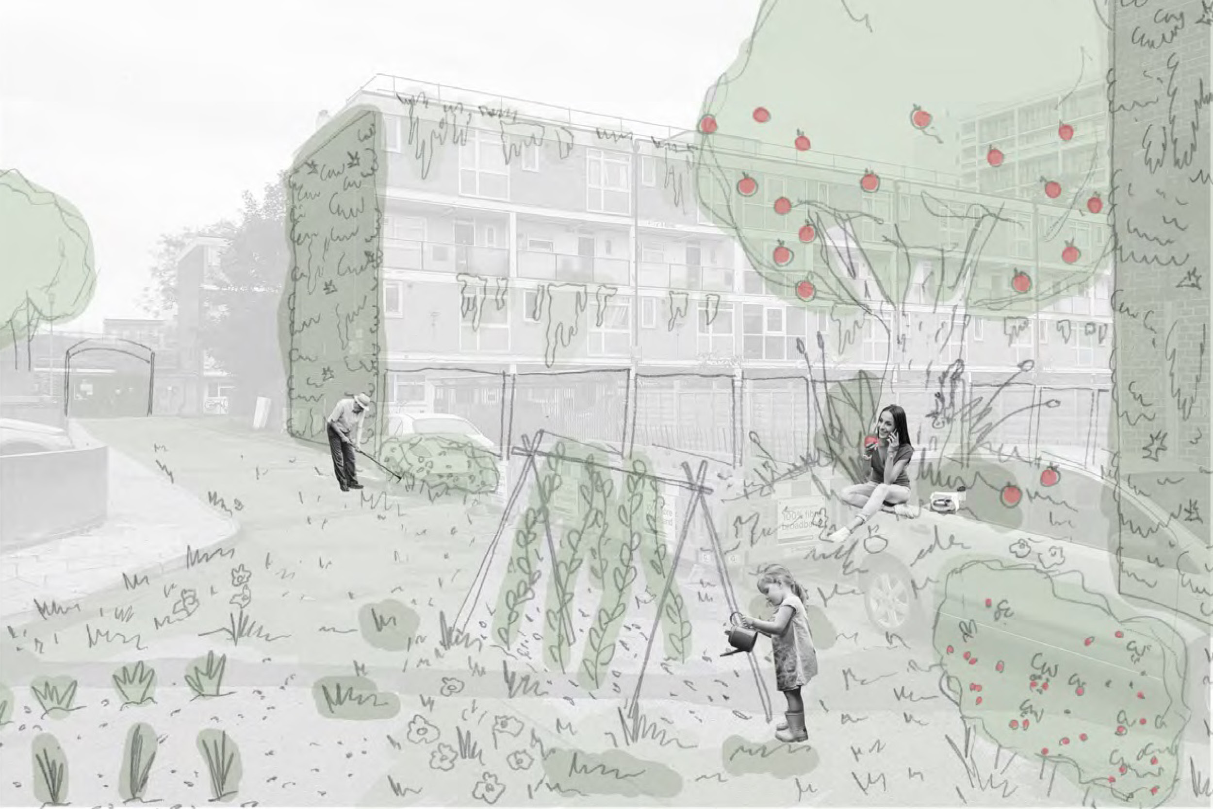 poacea menu loughborough rewilding © dan stilwell